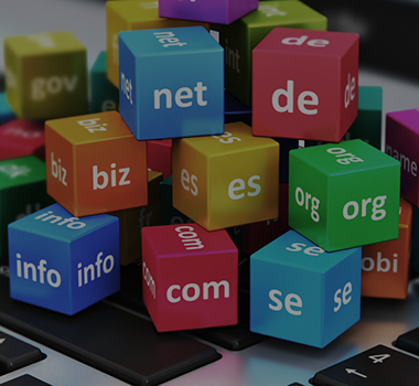 Domain Registration